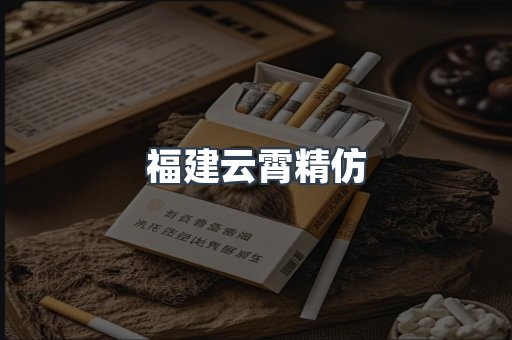 福建云霄精仿